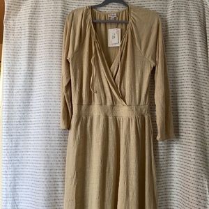NWT Lularoe Jody Dress